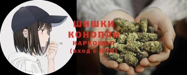 молекула духа Новодвинск