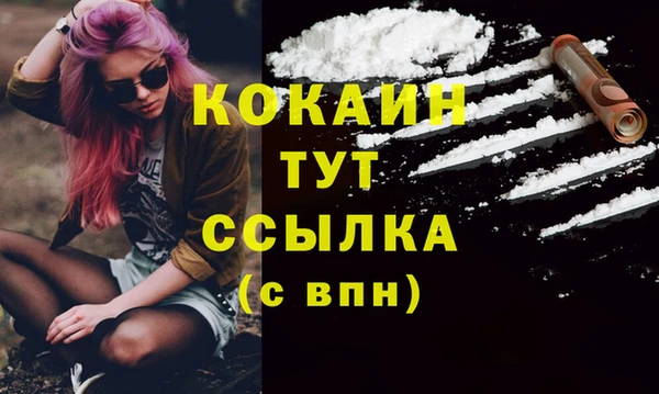 молекула духа Новодвинск