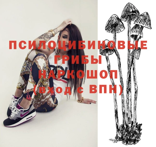 меф Новокубанск