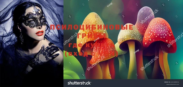 дурь Белая Холуница