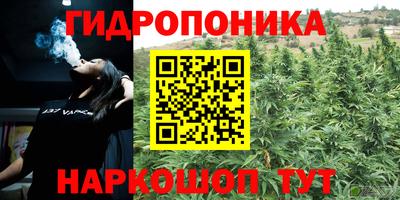 мяу мяу кристалл Гусиноозёрск