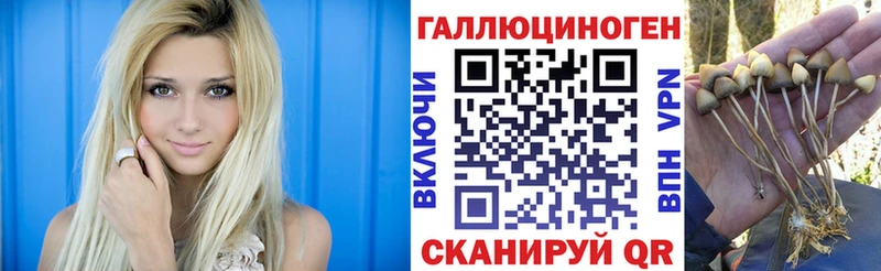 Галлюциногенные грибы MAGIC MUSHROOMS  Куйбышев 