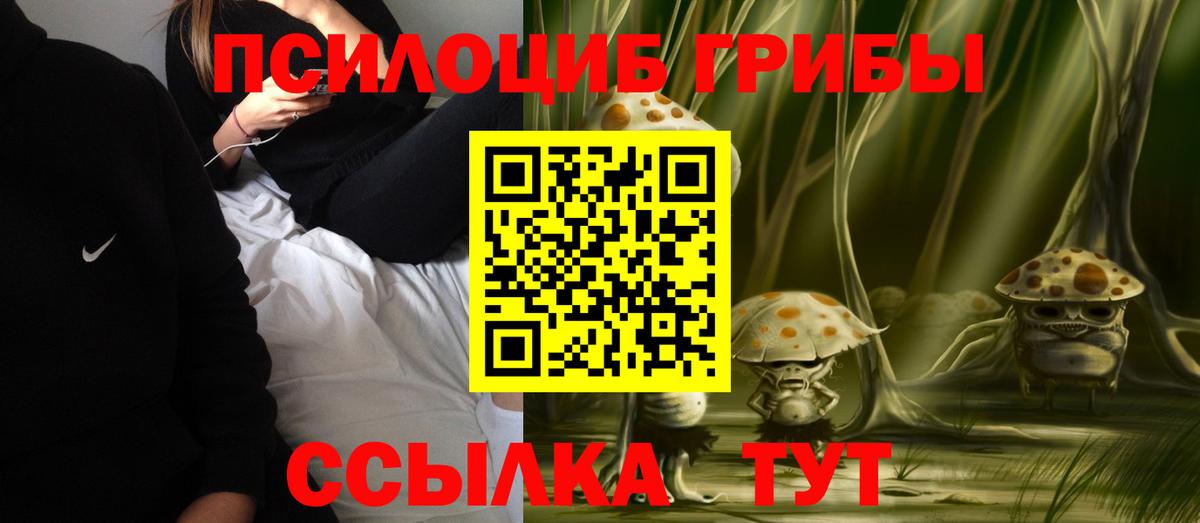 Куйбышев  Галлюциногенные грибы Psilocybine cubensis  Вход с VPN 